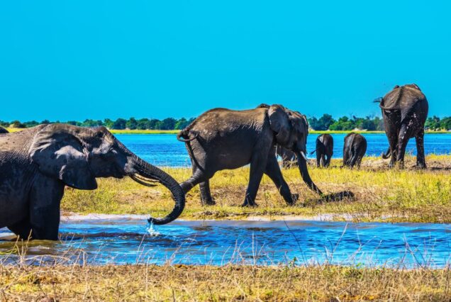 BOTSWANA – OKAVANGO & BEYOND