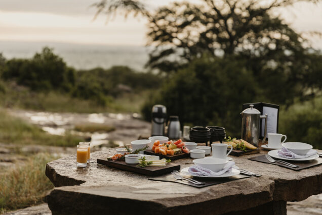 Tanzania: A Slow Safari Journey