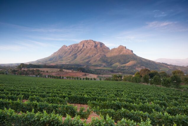 SOUTH AFRICA – WINELANDS TO WILD